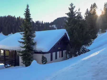 Le Cyclamen, Chalet 7 personnes à Champoussin - Photo 30