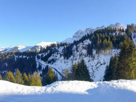 Le Cyclamen, Chalet 7 personnes à Champoussin - Photo 37