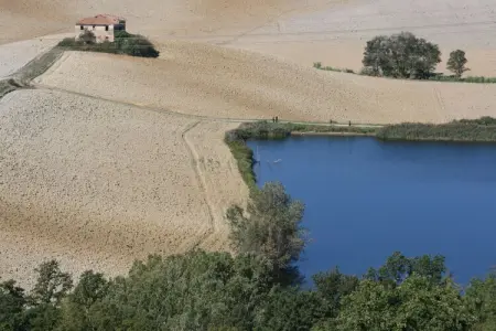 Focolare, Ferme à Castelfiorentino avec piscine - Photo 31