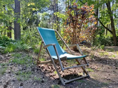 Boshuisje, Chalet adapté aux enfants dans les bois - Photo 20