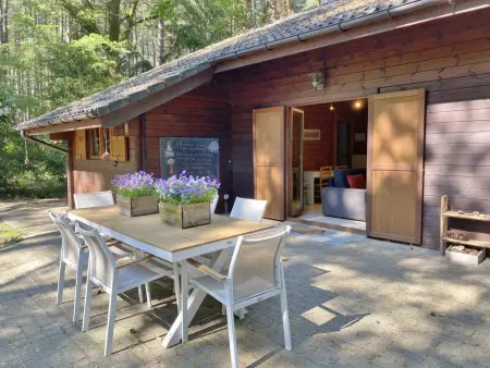 Boshuisje, Chalet adapté aux enfants dans les bois - Photo 21