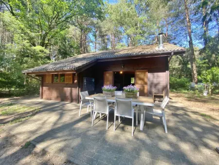 Boshuisje, Chalet adapté aux enfants dans les bois - Photo 23