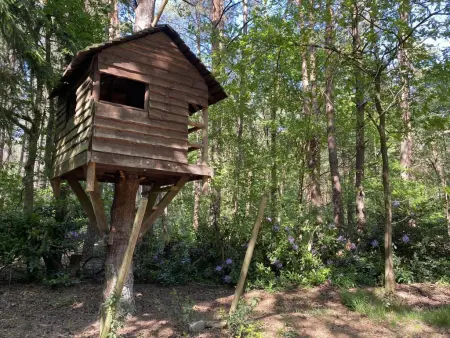 Boshuisje, Chalet adapté aux enfants dans les bois - Photo 29
