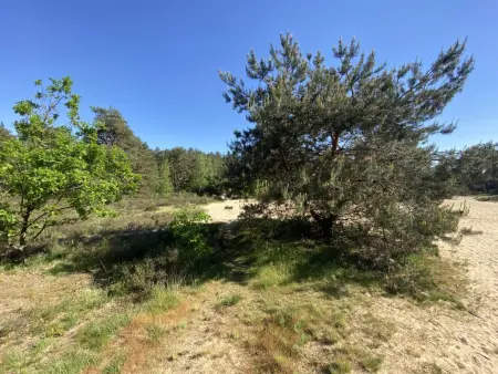 Boshuisje, Chalet adapté aux enfants dans les bois - Photo 30