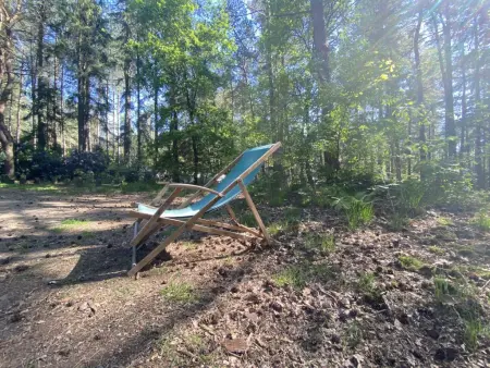 Boshuisje, Chalet adapté aux enfants dans les bois - Photo 32