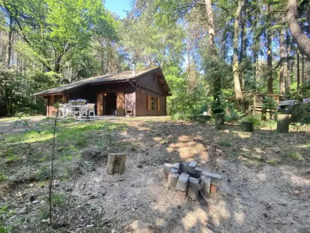 Boshuisje, Chalet adapté aux enfants dans les bois - Photo 33