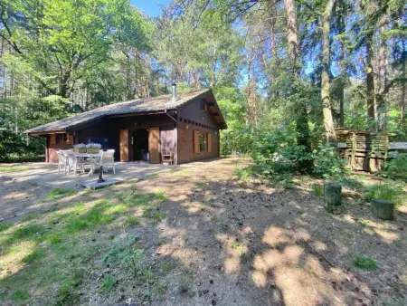 Boshuisje, Chalet adapté aux enfants dans les bois - Photo 34
