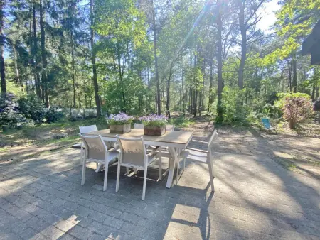 Boshuisje, Chalet adapté aux enfants dans les bois - Photo 35