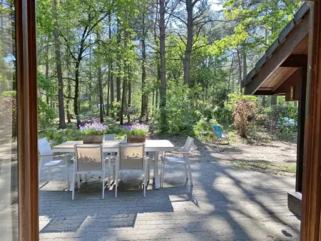 Boshuisje, Chalet adapté aux enfants dans les bois - Photo 37