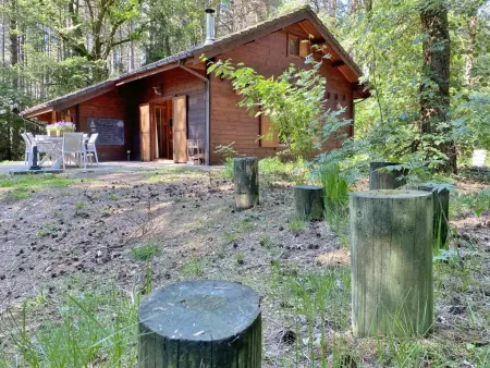 Boshuisje, Chalet adapté aux enfants dans les bois - Photo 38