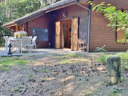 Boshuisje, Chalet adapté aux enfants dans les bois - Photo 39