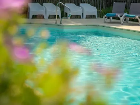 Le Gapard Annex, Gîte authentique sur un domaine avec piscine - Photo 37