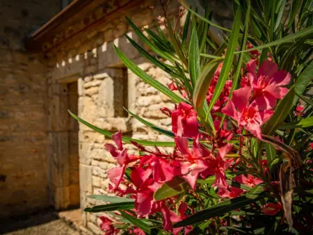 Gite Girou Haut, Maison de vacances avec piscine privée et vue - Photo 48