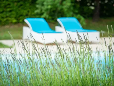 Villa de Montaigu, Belle villa avec piscine privée et pool house - Photo 38