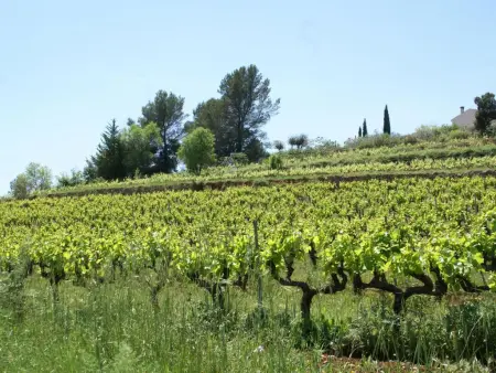 La Noura, Villa avec grand jardin clos, clim et piscine - Photo 23