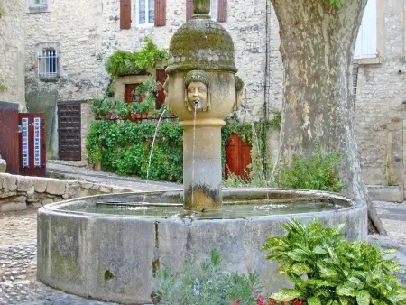 Le Mas Romarin, Villa rurale avec piscine privée - Photo 51