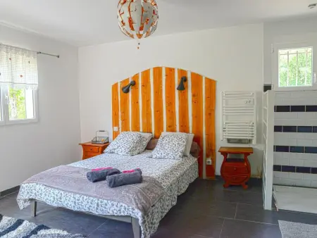 Les Dourets, Maison climatisée avec piscine privée - Photo 9