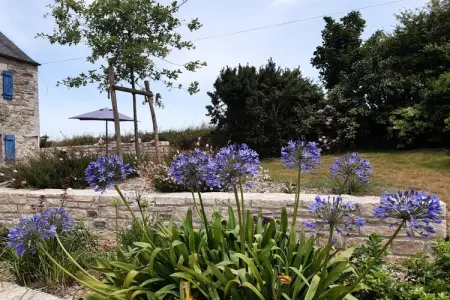Natursteinhaus Plounévez-Lochrist, Maison en pierre à Plouescat plages proches - Photo 17