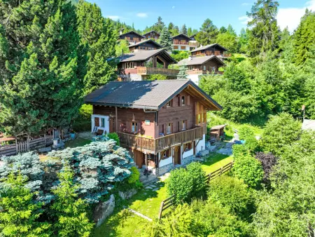 L'aïeul, Chalet 5 personnes à Nendaz - Photo 2