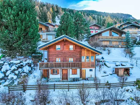 L'aïeul, Chalet 5 personnes à Nendaz - Photo 25