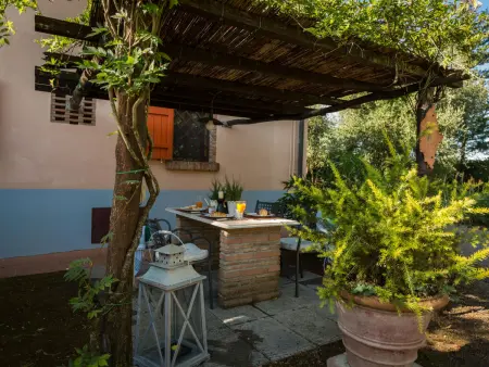 Mimosa, Gite 4 personnes à Peccioli - Photo 13