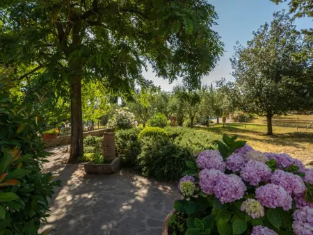 Melograno, Gite 7 personnes à Peccioli - Photo 25