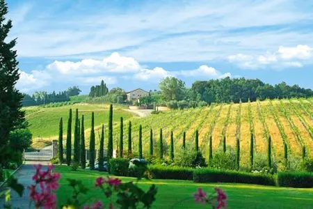 Ferienanlage Borgo della Meliana Gambassi Terme Typ Villa S Adele, Appartement en Toscane avec Piscine & Golf - Photo 24