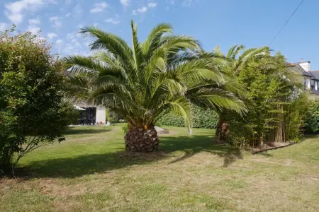 Ferienhaus Plounéour-Brignogan-Plages, Maison à Plouneour proche plage - Photo 17