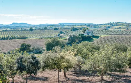 Can Corem de Son Moix, Maison 12 personnes à Manacor - Photo 34