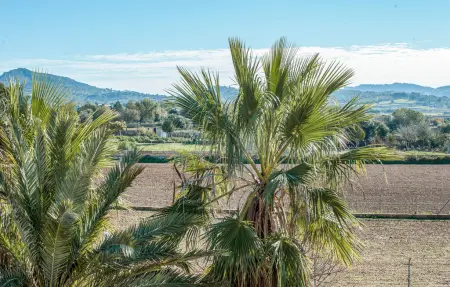 Can Corem de Son Moix, Maison 12 personnes à Manacor - Photo 35