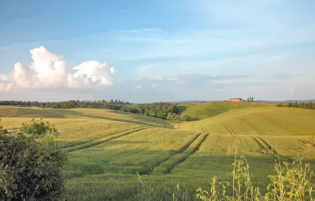 Maison 6 personnes à Sarteano - Photo 51