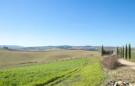 Maison 6 personnes à Sarteano - Photo 54