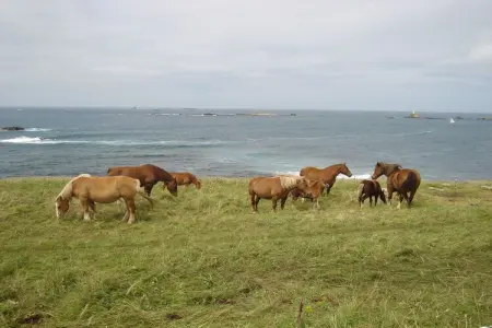 Doppelhaushälfte mit Meerblick Porspoder, Maison en Bretagne avec vue sur mer - Photo 20