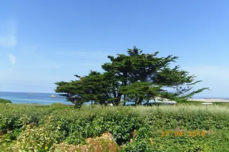 Bretonisches Steinhaus Landéda, Maison en pierre en Bretagne près des plages - Photo 20