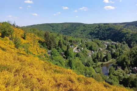 Symon Lodge, Lodge dans les Ardennes près de La Roche - Photo 34