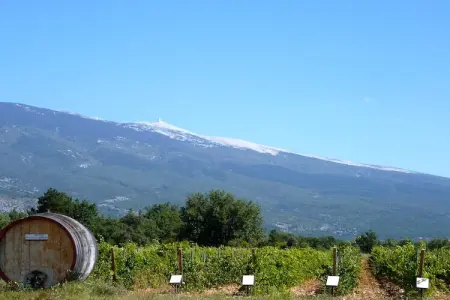Ferienhaus in Puyméras / Villa Julia, maison de vacances à Puyméras avec jardin - Photo 30