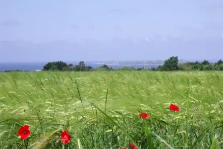 holiday home, Trédrez-Locquémeau-Grand gîte, Maison près de Côte de Granit Rose - Photo 16