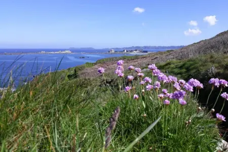 holiday home, Trédrez-Locquémeau-Grand gîte, Maison près de Côte de Granit Rose - Photo 18