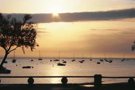 holiday home Lanton, Maison de campagne sur le bassin d'Arcachon - Photo 8