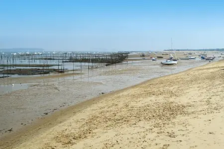 holiday home Lanton, Maison de campagne sur le bassin d'Arcachon - Photo 11