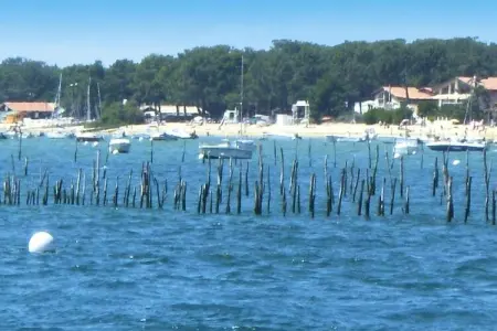 holiday home Lanton, Maison de campagne sur le bassin d'Arcachon - Photo 12