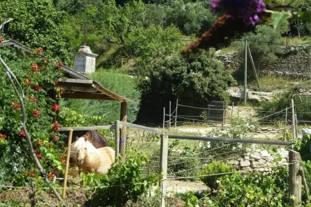 Ferienhaus in Vernègues, Maison Confort Piscine Vernègues - Photo 24