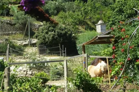 Ferienhaus in Vernègues, Maison Confort Piscine Vernègues - Photo 31