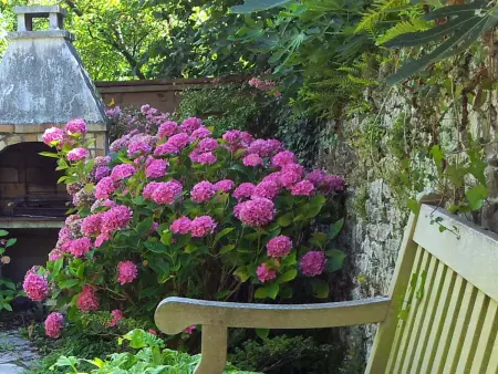 Maison lumineuse à Saint-Pair-sur-Mer avec jardin et animaux acceptés - Photo 17