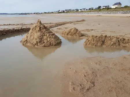 Maison lumineuse à Saint-Pair-sur-Mer avec jardin et animaux acceptés - Photo 21