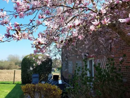 Spacieux gîte familial avec jardin et cheminée en Picardie - Photo 15