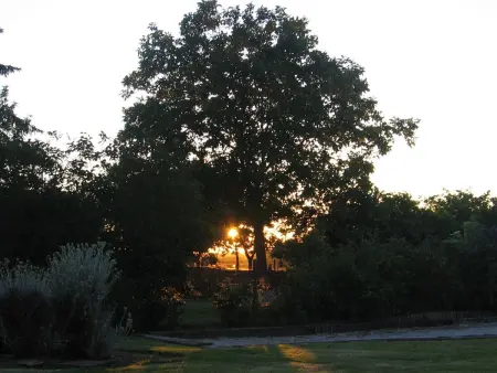Maison familiale avec piscine, grand jardin clos et équipements de loisirs - Photo 17