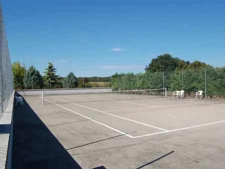 Maison de Charme avec Piscine Chauffée et Tennis à Proximité du Zoo de Beauval - Photo 6