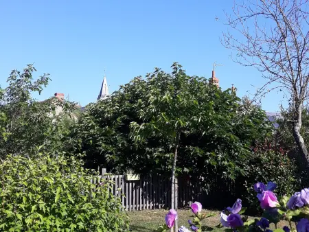 Maison de charme avec piscine, proche de la Creuse et attractions touristiques - Photo 6