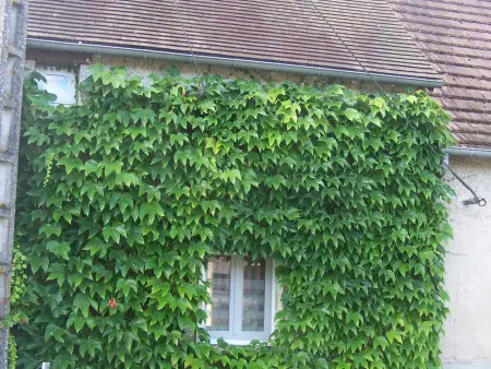 Charmante maison de campagne avec jardin privatif, proche étangs et nature, idéale rando et vélo. - Photo 13